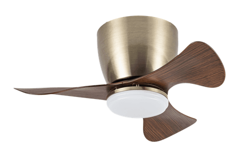 ITSY MINI 22", Decorative Ceiling Fans
