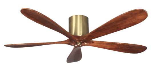 PENTAROSA 52", Decorative Ceiling Fans