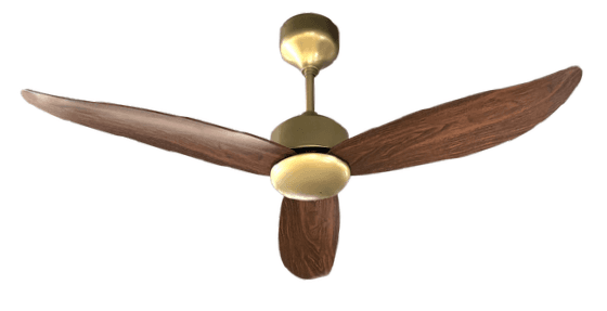 RASER Waterproof, Decorative Ceiling Fans